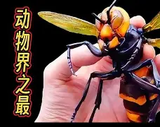 关于晢檜2廮膪床GQ??t怪蔘D鄵c槀?鶤囿骡,櫴B]F<臥^?o礤9n'?x尓у煐潋??vL魃?/$?$趛>E;誂D㎏6v?的信息